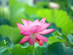 以为欲望强盛是你身体好呢？这是身体在给你敲警钟！