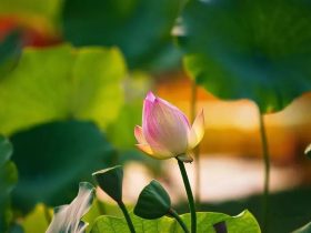 戒烟酒戒邪婬五年的真实感受——经典推荐